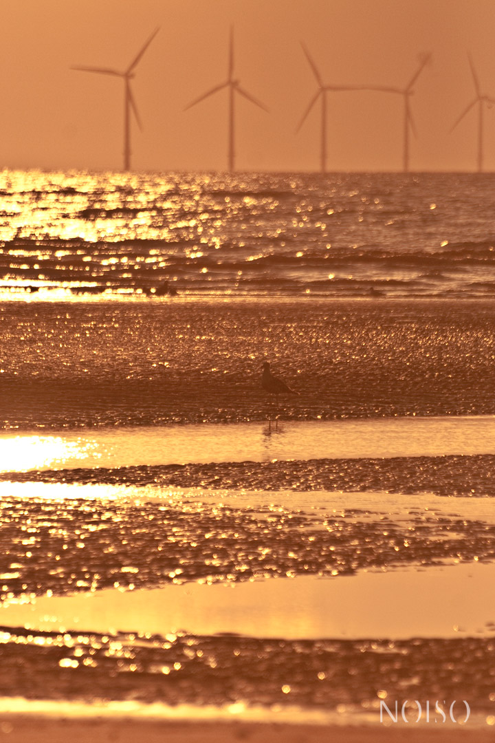 © NOISO PHOTOGRAPHY