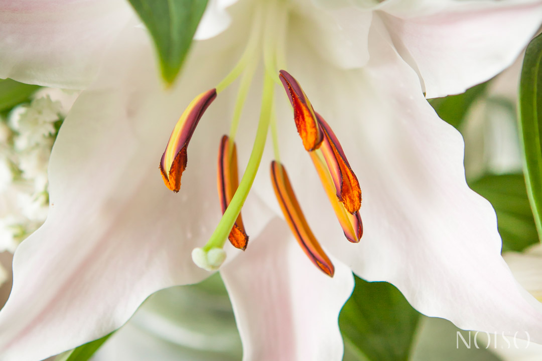 Weddings in Kettlewell