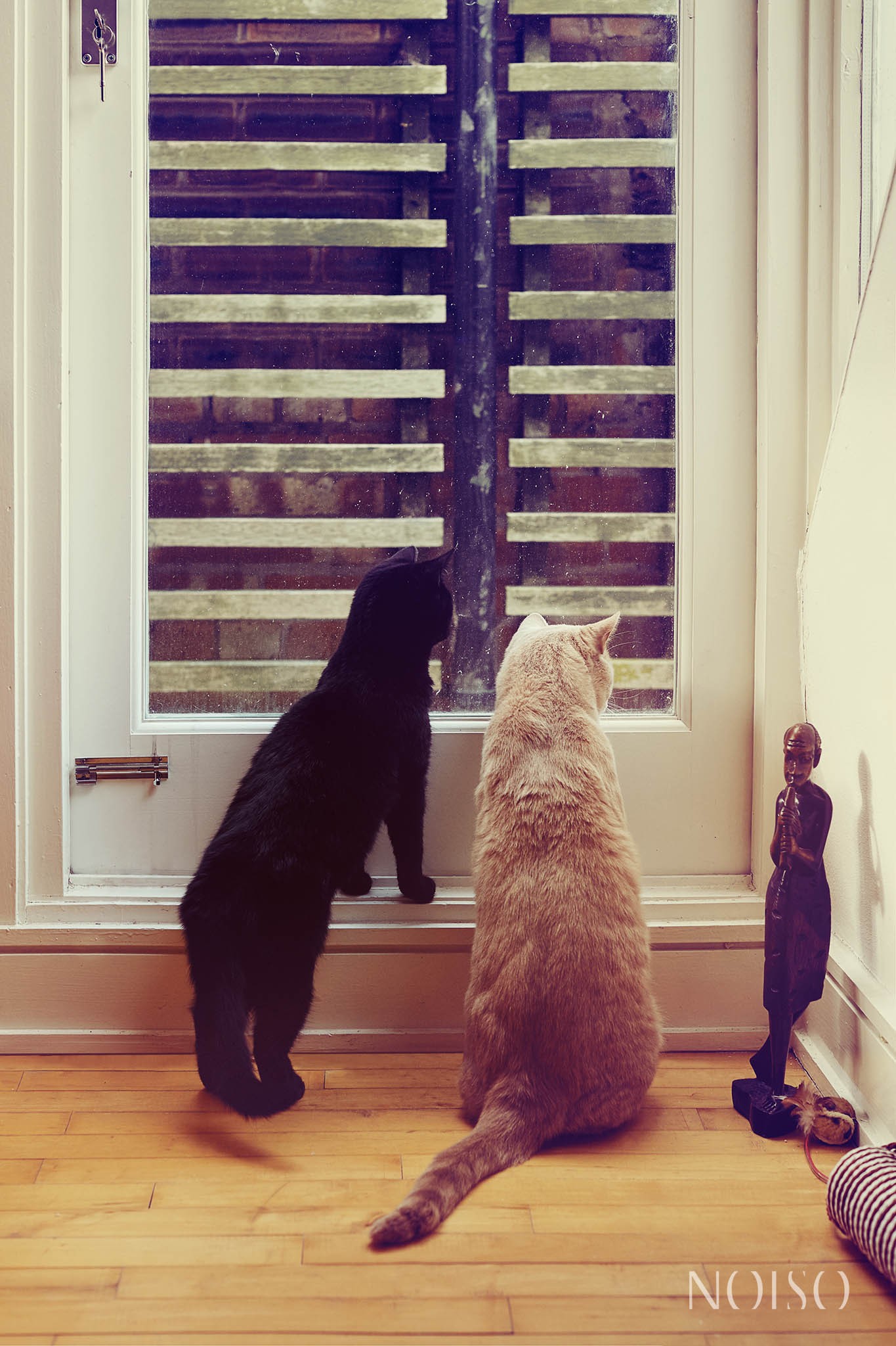 Watching Birds